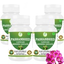 Pashanabheda (Bergenia ligulata) Powder Capsules | Ayurvedic Herbal Supplement | 100% Pure Extract | Vegetarian & Vegan | 500 mg per Serving | 240 Veg Capsules