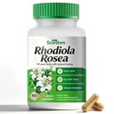 Rhodiola Rosea Supplement –Rhodiola Rosea Extract Powder Alternative with Salidroside for Stress Support - Energy, Focus & Performance，Non-GMO, 60 Capsules
