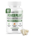 Adaptogenic Mushrooms with Cordyceps & Rhodiola – Daily Blend with Zinc, Selenium & Boron –Vegan Mushroom Capsules Supplement for Active Lifestyles – No Fillers or Additives – 60 Count