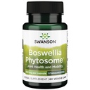 Swanson Ultimate Boswellia Advanced - Joint Support Supplement - 300 MG - 60 Vegetable Capsules