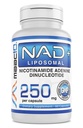 MAAC10 Liposomal NAD Ergänzung 500mg Servieren (2x250mg Kapseln) Actual Nicotinamid Adenin Dinukleotid