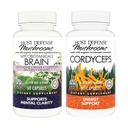 Host Defense Bundle mit MycoBotanicals Brain* Kapseln, 60 Count & Cordyceps Kapseln, 60 Count - Support Memory & Focus - Support Immune Health & Energy*