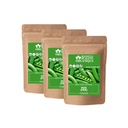 Blessfull Healing Organic Pea Powder 100% Pure Natural 100 Gram (3.52 oz) Each (Pack of 3) = 300 Grams, Vegan