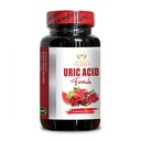 URIC Acid Cleanse - Joint Support Supplement Includes Tart Cherry, Cranberry, Pomegranate, Turmeric, Herbal Blend, Muscle Recovery - 1 Bottle 60 Capsules