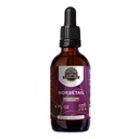 Earth's Love - Horsetail Alcohol-Free Herbal Extract Tincture, Horsetail (Equisetum arvense) Dried Herb (4 Fl Oz)