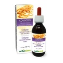 Naturalma Cordyceps (Cordyceps sinensis) Pilz oder Pilz Alkoholfreie Tinktur - 4 fl oz Flüssiger Extrakt in Tropfen - Kräuterergänzung - Vegan