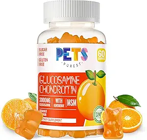 Tiere Reinste Glucosamin Chondroitin Gummis mit MSM & Elderberry Extra Strength - Joint Support, Antioxidant Immun Support Supplement für Erwachsene, Männer & Frauen. Orange