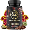 Fenix Focus – Premium Nootropic Formel mit Koffein (Fast & Slow), L-Theanin, B12, Tyrosin, Choline, Artichoke – 100 Kapseln
