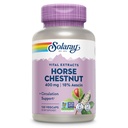 SOLARAY Horse Chestnut Extract 400 mg - Standardisiert auf 72 mg Aescin - mit 55 mg Metzger Broom - Venen- und Blutzirkulationsergänzungsmittel - Vegan, Non-GMO, 60-Day Garantie, 120 Serv, 120 VegCaps