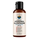 AMANDEAN Liposomale Glutathione Supplement. Flüssigkeitsreduzierte Setria 500mg. Immununterstützung, Gehirngesundheit, Leberentgiftung, Hautgesundheit. Phosphatidylcholin von Non-GMO Sunflower Lecithin. Soy-Free & Vegan.
