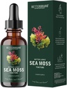 Betterbrand Sea Moss Drops Liquid Supplement mit Irish Sea Moss Bladderwrack Burdock Root für Lung Health Digestive Gelenk Schilddrüse Unterstützung Seamoss Drops 30 Tage Versorgung