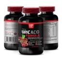 Pomegranate for Uric Acid Support - URIC Acid Formula - Devil's Claw Root for Uric Acid, Milk Thistle for Liver, Uric Acid with Natural Herbs, Uric Acid and, Green Coffee Bean Uric Acid 1 Bot