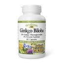 HerbalFactors von Natural Factors, Ginkgo Biloba, unterstützt Gedächtnis, Mental Performance und Gesunde Gehirnfunktion, 60 Kapseln (60 Portionen)