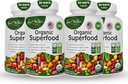Organic Superfood Greens Fruits and Veggies Complex - beste Nahrungsergänzung mit 14 Greens und 14 Obst- und Gemüsesorten mit Alfalfa & Antioxidant Organic Ingredients Non-GMO 240 Kapseln