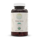 Sheep Sorrel 120 Capsules, 500 mg, Concentrated Liquid Drops Natural USDA Organic Sheep Sorrel (Rumex Acetosella) Dried Herb (120 Capsules)