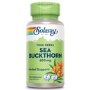 SOLARAY Sea Buckthorn Berry, Veg Cap (Btl-Plastic) 600mg | 100ct