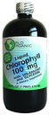 World Organics Flüssige Chlorophyllflüssigkeit mit Spearmint, 16 flüssigem Unze
