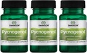 Swanson Pycnogenol 100 Milligramme 30 Kapseln 3 Packung