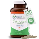 Cryptolepis Synergy, Immununterstützung Vitamine, Immunsystem Booster für Erwachsene, Leber, Lymphe, & Immununterstützung Supplement, unterstützt Lyme & Natural Parasite Defense, 120 Kapseln