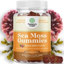 Natures Craft Sea Moss Gummi für Erwachsene und Kinder - Vegan Erwachsene und Kinder Immununterstützung Gummis mit Burdock Bladderwrack Sea Moss Gel - Delicious Berry Flavor Supplement Männer Frauen Kinder 30ct