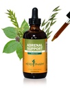 Herb Pharm Adrenal Support Liquid Herbal Formula with Eleuthero and Licorice Liquid Extracts - 4 Ounce