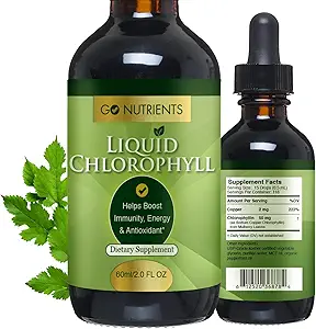 Go Nährstoffe Flüssige Chlorophyll Tropfen – Bio Mulberry Blatt Extrakt mit Kupfer – Natürliche Detox & Interne Deodorant für Frauen, Männer & Kinder – Non-GMO, Vegan, Mint Flavor, 2 Unze Glasflasche