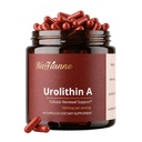 Urolithin A Supplement 1000mg, Mitochondrial Supplements, 60 Capsules