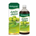 Baidyanath Ayurved Amla Juice 1L | Indian Gooseberry Juice | Natural Vitamin C and Antioxidant Rich | No Added Sugar | Supports Immunity, Skin and Digestion