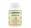 Livoclyns Liver Support Tablets | Herbal Formula with Kalmegh, Bhuiamla, Tulsi & Sharpunkha | Supports Healthy Liver Function | 60 Tablets