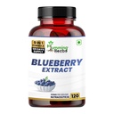 Humming Herbs Blueberry Extract 580mg with Lutein, Bilberry, CoQ10, Vitamin A, C, E, Zinc & Magnesium | 9-in-1 Daily Nutrition Blend | 120 Veg Capsules | Non-GMO & Gluten-Free