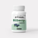 Dr. Satnam’s Arogyam Ayurveda Natural Bilberry Capsules | Bilberry Fruit Extract 500 mg | Herbal Eye Care Supplement | 100% Herbal | 60 Capsules