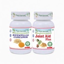 Planet Ayurveda Joint Support Combo – Joint Aid Plus & Boswellia Curcumin