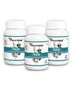 Tulsi (Holy Basil) 500Mg Tablet,180 Tablets (Pack of 3)