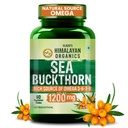 Vlado's Himalayan Organics Sea Buckthorn - 1200mg - Rich source of Omega 3-6-7-9 I 190+ Bio-active Elements ( vitamin A,B,C,D,E, ) Vitmain K - 18+ amino acids+ I Antioxidants, Immunity & Collagen Boosting, Supports Skin, Gut, Heart, Muscle, Bone - Direct source from ladakh- 60 Veg Extract Tablets