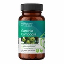 Merlion Naturals Garcinia Cambogia Tablets | Garcinia gummi-gutta | 500mg (120 Tablets)