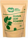 Guava Blatt Pulver (100% Natürlich & Rein), Guava Blatt Tee, Haar-Re-Growth, Haut und Nägel, keine Konservierungsstoffe, 100% reine Guava Blätter (Pack von 1)