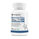 Trexgenics MUCUNA 20% L-DOPA 500 mg, P5P 50 mg Prolactin Support, Cognitive Function VEGAN & NON-GMO (30 Veg. Capsules) (Pack of 1)