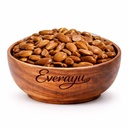 Borsali Seeds Whole 100gm – Bakul/Maulsari Beej | Mimusops elengi Raw | Bolsari Bakal Natural Seeds for Herbal & Traditional Use