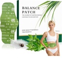 Japanese Herbal Balance Belly Patch for Waist & Abdomen Care Slim Waist Women Adhesive Heating Tummy Support & Daily Wellness | Comfortable Overnight Use | Pack of 5 Patches