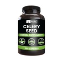 Pure Original Zutaten Celery Seed (365 Kapseln) Kein Magnesium oder Reisfüller, Immer rein, Lab Verifiziert