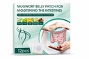 Mugwort Belly Patch for Detox & Digestive Support | Herbal Abdomen Patch for Bloating Relief (12 Pcs)