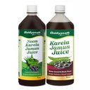 Baidyanath Ayurved Neem Karela Jamun & Karela Jamun Juice combo (2L, 1Litre X 2) | Natural Remedy for Blood Sugar Management | Best For Digestive Health, Diabetic, Skin Care & Natural Detox | No Added Sugar