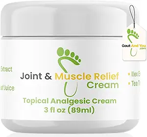 Gout and You Relief Cream für Joint Discomfort, Flare-Ups, Tendon - Fast Acting Muscle Ache Relieving Rub mit Arnica/Ilex Blatt Extrakt, Aloe Vera und Teebaumöl
