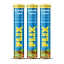 PLIX- THE PLANT FIX | KSM-66 Ashwagandha Gold Standard Effervescent (300 mg) | Brahmi & Bhringraj helps relieve stress & boosts performance| Promotes Calmness, Increase Mental Acuity, & Muscle Recovery (45 Tabs) (Pack of 3)