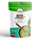 B12GreenFood Powder Plant Based Vitamin B12 Supplement 200g