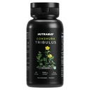 Nutrabay Wellness Tribulus Terrestries (Gokshura) - Natural Support for Energy, Performance & Stamina & Muscle Growth - 1000mg, 60 Veg Capsules
