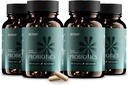 BIOMA Probiotics for Weight Management & Digestive Health, 3 in 1 Gut Health Probiotics und Prebiotics/Postbiotics, Slow Release Synbiotic Probiotic Capsules for Gut Health Multi Enzyme (240 Caps)