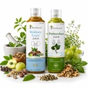 Four Seasons Ayurveda Kidney Care Juice + Patharchur Juice Combo | Ayurvedic Herbal Juice for Kidney & Urinary Wellness Support | Natural Herbal Drink | Daily Wellness