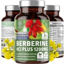 Number One Nutrition N1N Premium Berberine Plus 120 Caps, 1200mg, Natürliche Ergänzung unterstützt Anti-Aging, Cellular Health, Energie und Verdauung