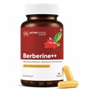 Sugar.fit Berberine Supplements 1000mg | Liposomal Berberine HCl with Milk Thistle, Cinnamon & Chromium | For Metabolism, Healthy Blood Sugar & Liver Wellness Support | 60 Veg Capsules